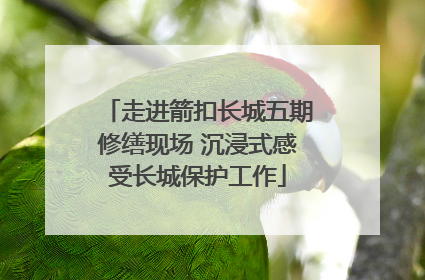 走进箭扣长城五期修缮现场 沉浸式感受长城保护工作