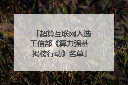 超算互联网入选工信部《算力强基揭榜行动》名单
