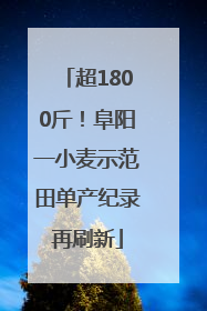 超1800斤！阜阳一小麦示范田单产纪录再刷新