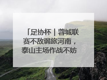 足协杯｜蓉城联赛不敌弱旅河南，泰山主场作战不妨“抄作业”
