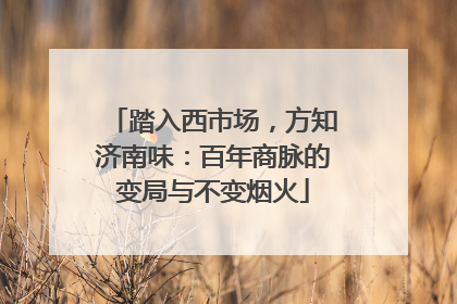 踏入西市场，方知济南味：百年商脉的变局与不变烟火