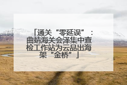 通关“零延误”：曲靖海关会泽集中查检工作站为云品出海架“金桥”