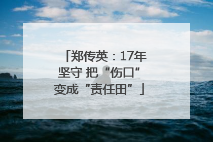 郑传英：17年坚守 把“伤口”变成“责任田”