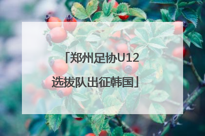 郑州足协U12选拔队出征韩国