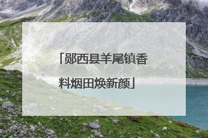 郧西县羊尾镇香料烟田焕新颜