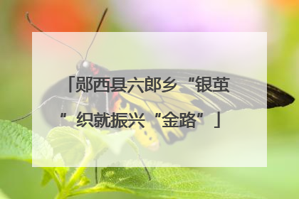 郧西县六郎乡“银茧”织就振兴“金路”