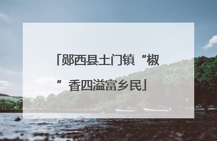 郧西县土门镇“椒”香四溢富乡民