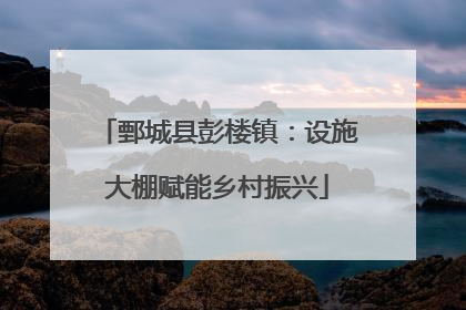 鄄城县彭楼镇：设施大棚赋能乡村振兴