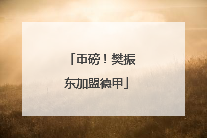 重磅！樊振东加盟德甲
