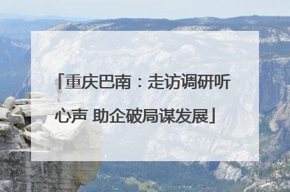 重庆巴南：走访调研听心声 助企破局谋发展
