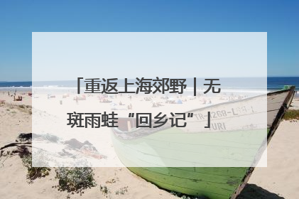 重返上海郊野｜无斑雨蛙“回乡记”