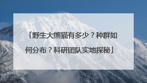 野生大熊猫有多少？种群如何分布？科研团队实地探秘