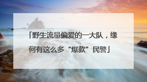 野生流量偏爱的一大队，缘何有这么多“爆款”民警