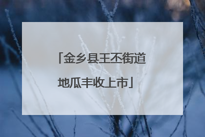 金乡县王丕街道地瓜丰收上市