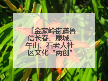 金家岭街道鲁信长春、康城、午山、石老人社区文化“两创”社区书院结业