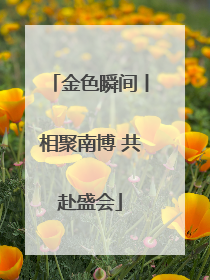 金色瞬间丨相聚南博 共赴盛会