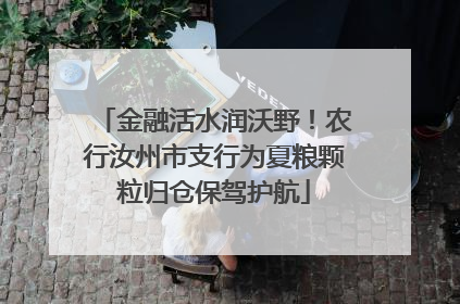 金融活水润沃野！农行汝州市支行为夏粮颗粒归仓保驾护航