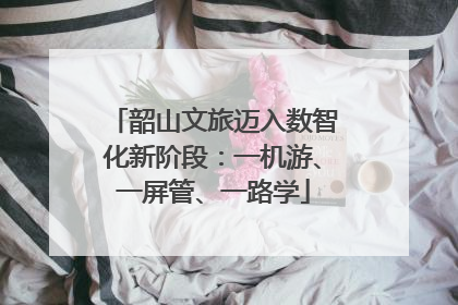韶山文旅迈入数智化新阶段：一机游、一屏管、一路学