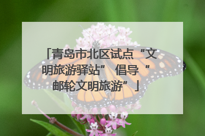 青岛市北区试点“文明旅游驿站” 倡导“邮轮文明旅游”