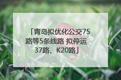 青岛拟优化公交75路等5条线路 拟停运37路、K20路