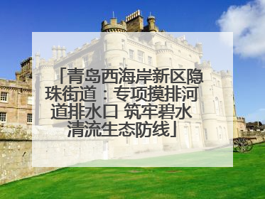青岛西海岸新区隐珠街道：专项摸排河道排水口 筑牢碧水清流生态防线