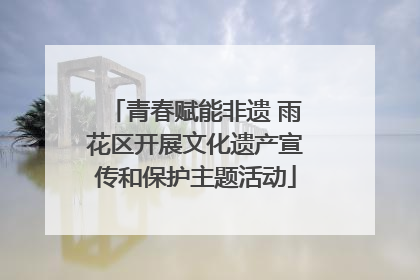 青春赋能非遗 雨花区开展文化遗产宣传和保护主题活动