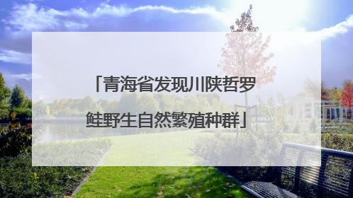 青海省发现川陕哲罗鲑野生自然繁殖种群
