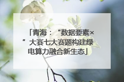 青海：“数据要素×”大赛七大赛题构建绿电算力融合新生态