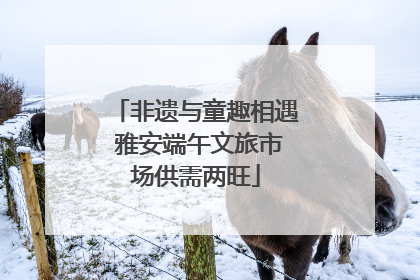 非遗与童趣相遇 雅安端午文旅市场供需两旺