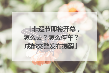 非遗节即将开幕，怎么去？怎么停车？成都交警发布提醒