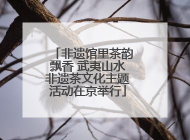 非遗馆里茶韵飘香 武夷山水非遗茶文化主题活动在京举行