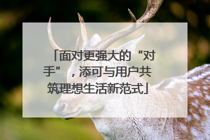 面对更强大的“对手”，添可与用户共筑理想生活新范式