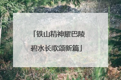 铁山精神耀巴陵 碧水长歌颂新篇