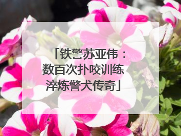 铁警苏亚伟：数百次扑咬训练淬炼警犬传奇
