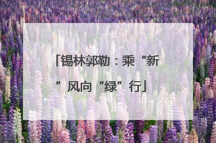 锡林郭勒：乘“新”风向“绿”行
