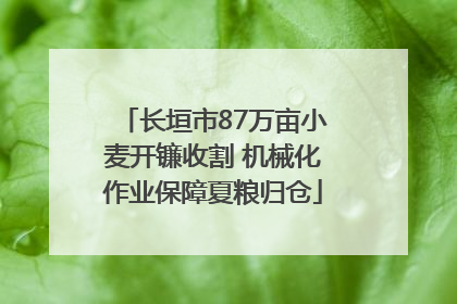 长垣市87万亩小麦开镰收割 机械化作业保障夏粮归仓