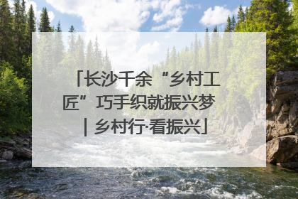 长沙千余“乡村工匠”巧手织就振兴梦｜乡村行·看振兴