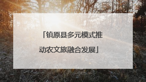 镇原县多元模式推动农文旅融合发展
