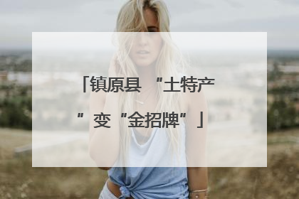 镇原县 “土特产”变“金招牌”