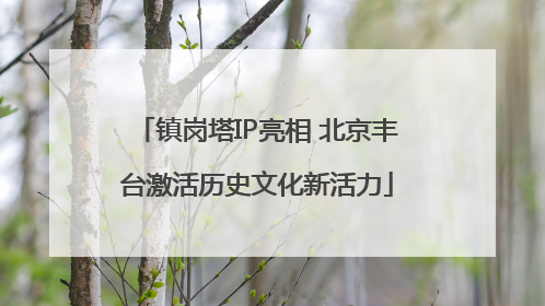 镇岗塔IP亮相 北京丰台激活历史文化新活力