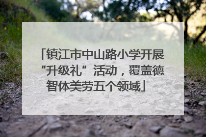 镇江市中山路小学开展“升级礼”活动，覆盖德智体美劳五个领域