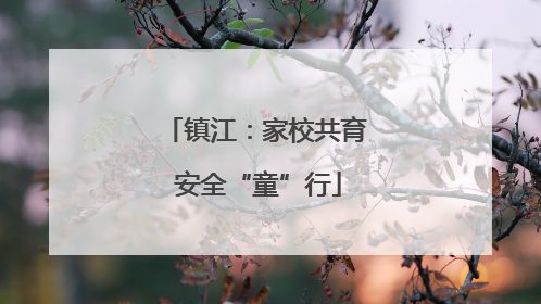 镇江：家校共育 安全“童”行