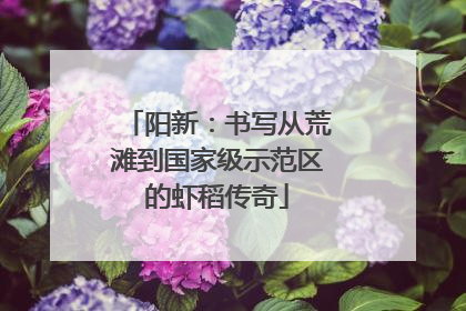 阳新：书写从荒滩到国家级示范区的虾稻传奇