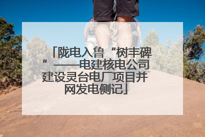 陇电入鲁“树丰碑”——电建核电公司建设灵台电厂项目并网发电侧记