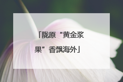 陇原“黄金浆果”香飘海外