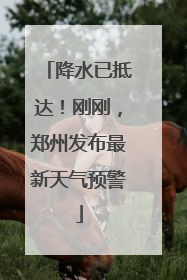 降水已抵达！刚刚，郑州发布最新天气预警