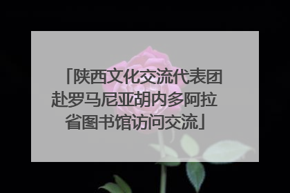 陕西文化交流代表团赴罗马尼亚胡内多阿拉省图书馆访问交流