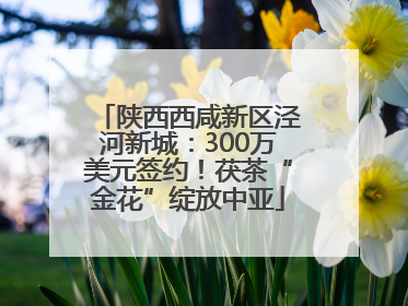 陕西西咸新区泾河新城：300万美元签约！茯茶“金花”绽放中亚