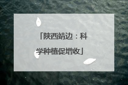 陕西靖边：科学种植促增收