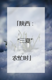 陕西：“三夏”农忙时